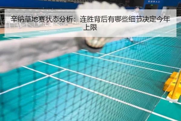 辛纳草地赛状态分析：连胜背后有哪些细节决定今年上限 | kaiyun
